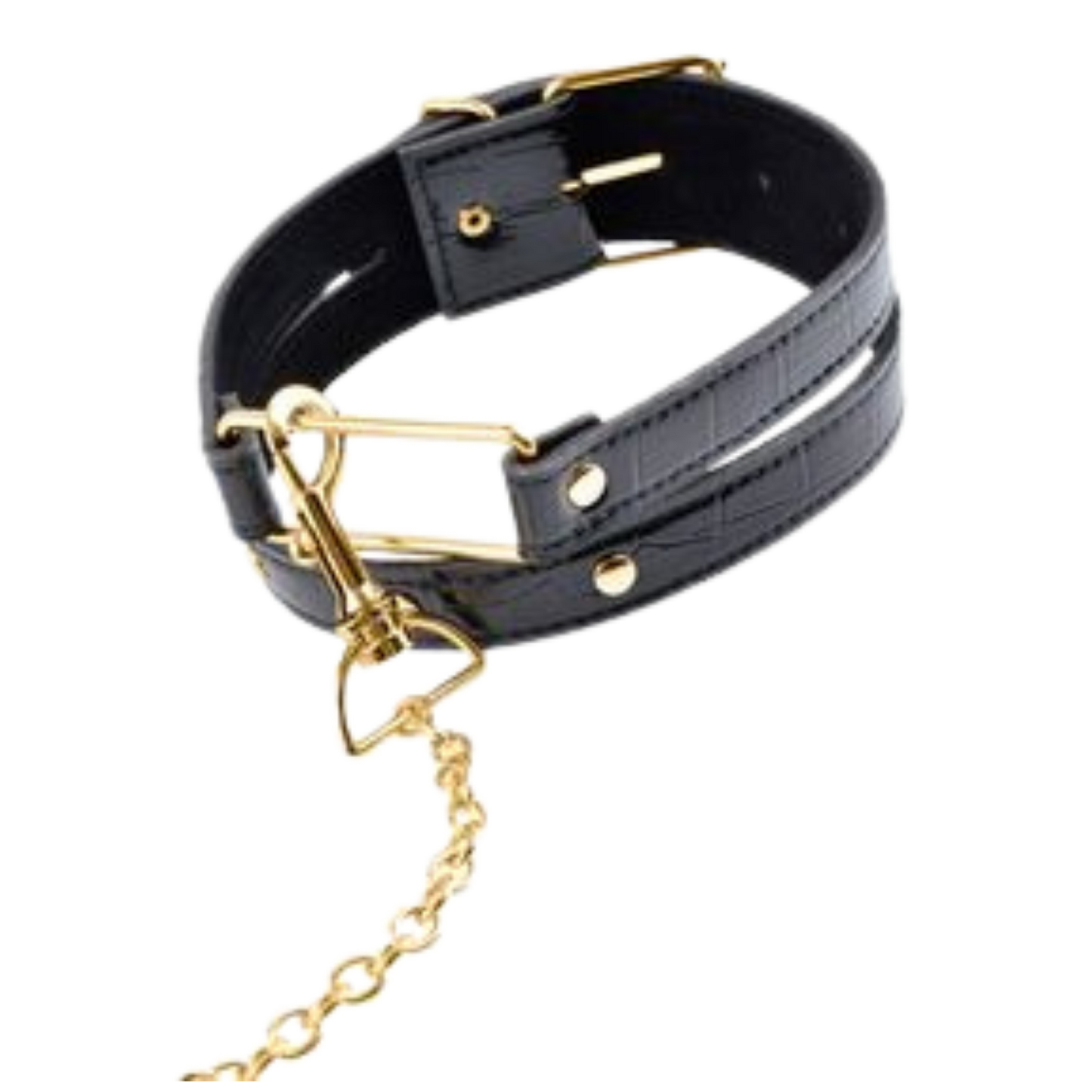 Leash And Collar
