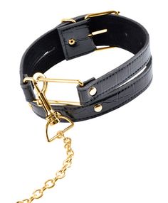 Leash And Collar