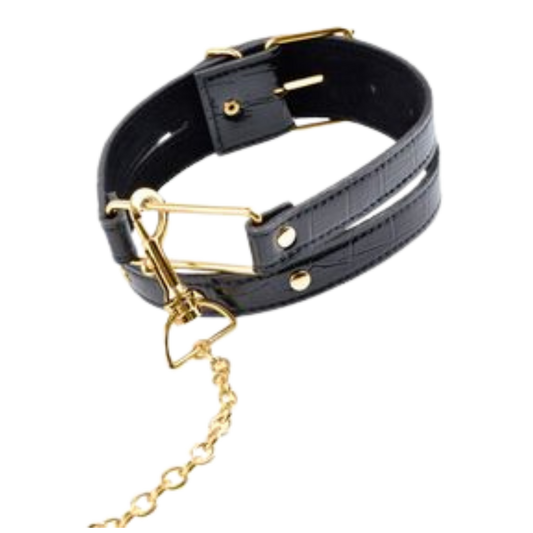 Leash And Collar